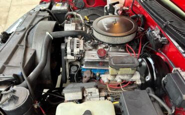 Chevrolet-CK-Pickup-1500-1995-Pickup-Truck-22
