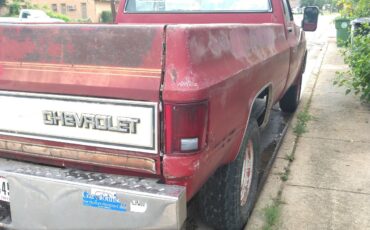 Chevrolet-CK-Pickup-2500-1982-Standard-Cab-Pickup-14