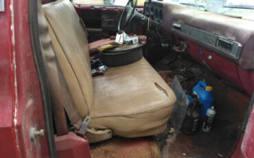 Chevrolet-CK-Pickup-2500-1982-Standard-Cab-Pickup-15
