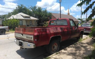 Chevrolet-CK-Pickup-2500-1982-Standard-Cab-Pickup-3
