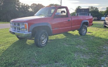 Chevrolet-CK-Pickup-3500-1994-5