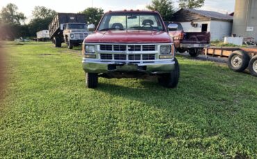 Chevrolet-CK-Pickup-3500-1994-6