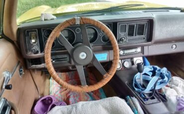 Chevrolet-Cabriolet-1981-Yellow-1