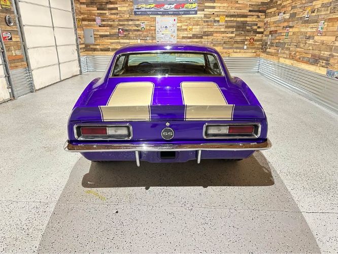 Chevrolet-Camaro-1967-Purple-Gold-3