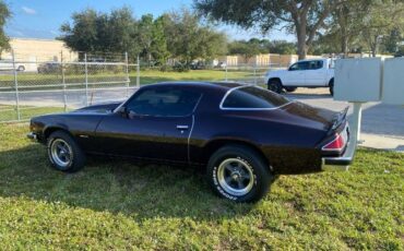 Chevrolet-Camaro-1976-Black-Cherry-14
