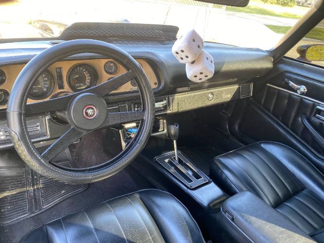 Chevrolet-Camaro-1976-Black-Cherry-5