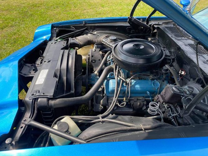 Chevrolet-Camaro-1978-Blue-4