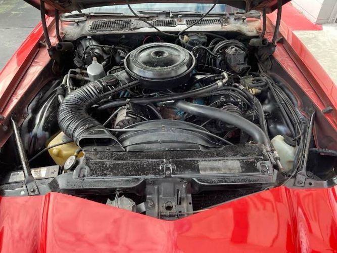 Chevrolet-Camaro-1978-Red-6