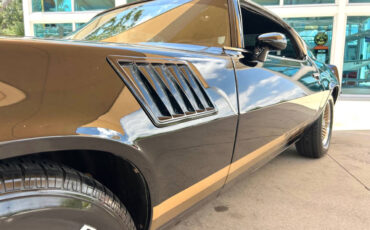 Chevrolet-Camaro-1979-Coupe-10