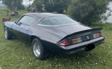 Chevrolet-Camaro-1979-Gray-Black-1