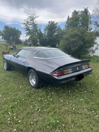 Chevrolet-Camaro-1979-Gray-Black-1
