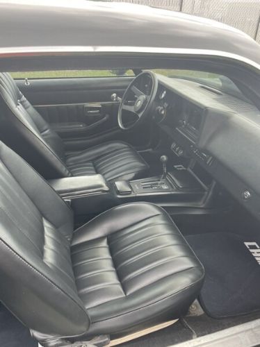 Chevrolet-Camaro-1979-Gray-Black-19