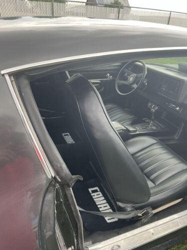 Chevrolet-Camaro-1979-Gray-Black-21