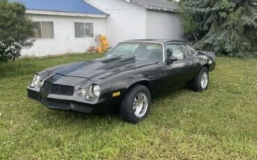 Chevrolet-Camaro-1979-Gray-Black-25