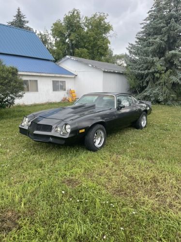 Chevrolet-Camaro-1979-Gray-Black-25