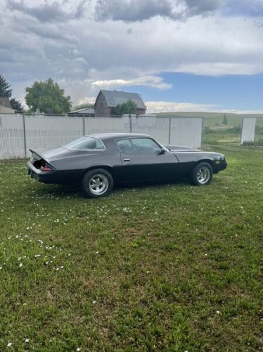 Chevrolet-Camaro-1979-Gray-Black-28