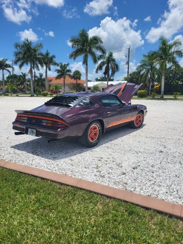 Chevrolet-Camaro-1980-11