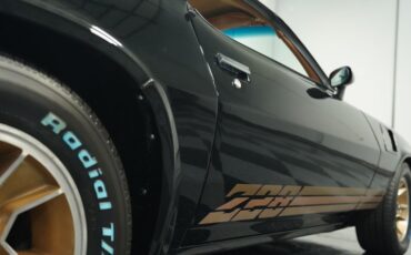 Chevrolet-Camaro-1980-Black-Tan-28