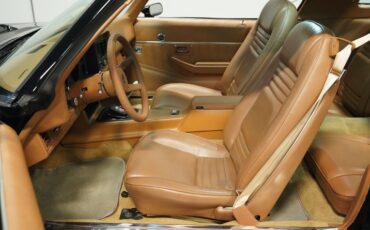 Chevrolet-Camaro-1980-Black-Tan-36