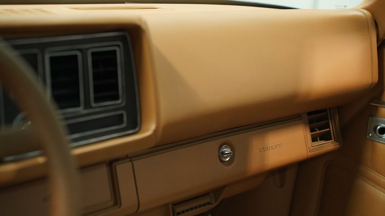 Chevrolet-Camaro-1980-Black-Tan-42