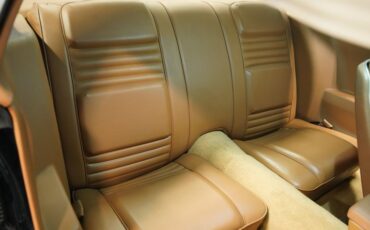 Chevrolet-Camaro-1980-Black-Tan-45