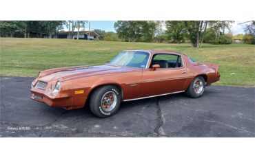 Chevrolet-Camaro-1980-Bronze-Black-13