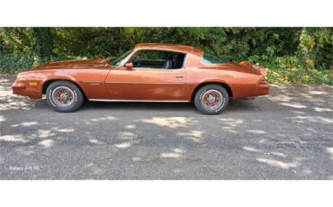 Chevrolet-Camaro-1980-Bronze-Black-15