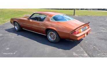 Chevrolet-Camaro-1980-Bronze-Black-16