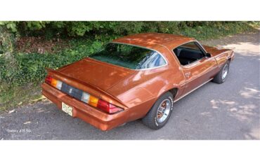 Chevrolet-Camaro-1980-Bronze-Black-19