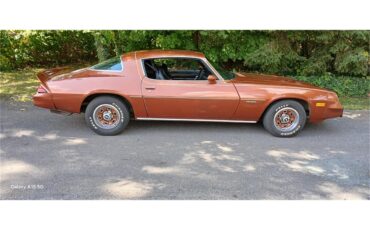 Chevrolet-Camaro-1980-Bronze-Black-20