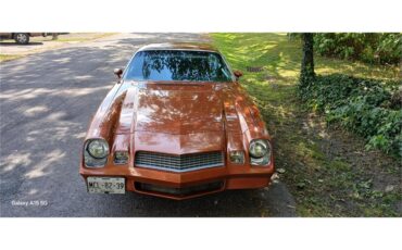 Chevrolet-Camaro-1980-Bronze-Black-22