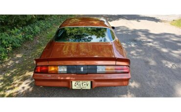 Chevrolet-Camaro-1980-Bronze-Black-24