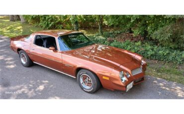 Chevrolet-Camaro-1980-Bronze-Black-27