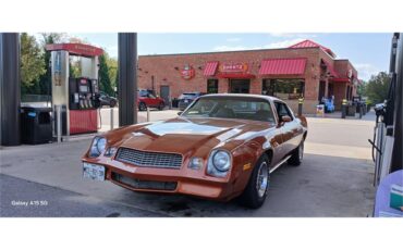 Chevrolet-Camaro-1980-Bronze-Black-29