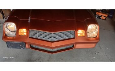 Chevrolet-Camaro-1980-Bronze-Black-37