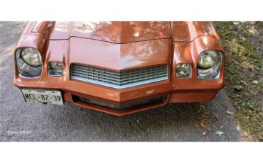 Chevrolet-Camaro-1980-Bronze-Black-38