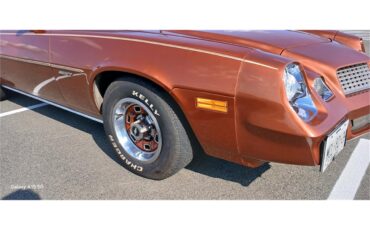 Chevrolet-Camaro-1980-Bronze-Black-41