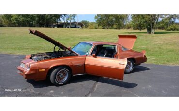 Chevrolet-Camaro-1980-Bronze-Black-47