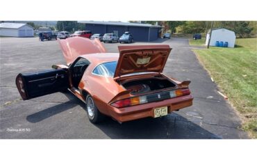 Chevrolet-Camaro-1980-Bronze-Black-49