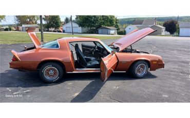 Chevrolet-Camaro-1980-Bronze-Black-52