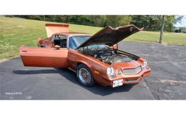Chevrolet-Camaro-1980-Bronze-Black-53