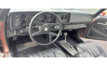 Chevrolet-Camaro-1980-Bronze-Black-59