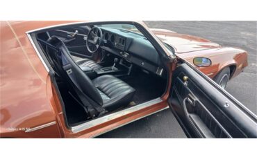 Chevrolet-Camaro-1980-Bronze-Black-61