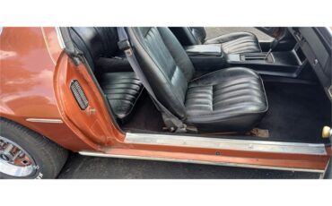 Chevrolet-Camaro-1980-Bronze-Black-63