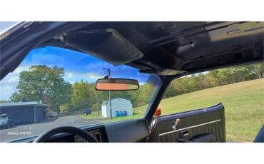 Chevrolet-Camaro-1980-Bronze-Black-66