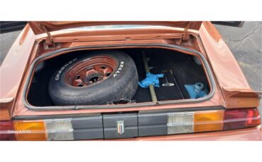 Chevrolet-Camaro-1980-Bronze-Black-78