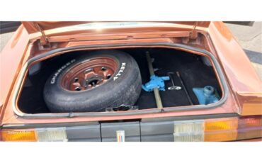 Chevrolet-Camaro-1980-Bronze-Black-79