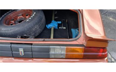 Chevrolet-Camaro-1980-Bronze-Black-81