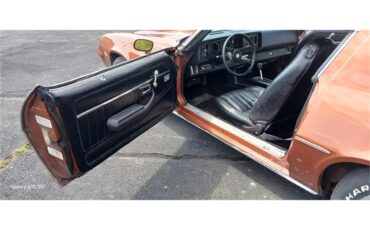Chevrolet-Camaro-1980-Bronze-Black-84