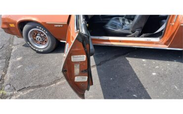 Chevrolet-Camaro-1980-Bronze-Black-86